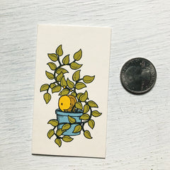 snail plant mini card